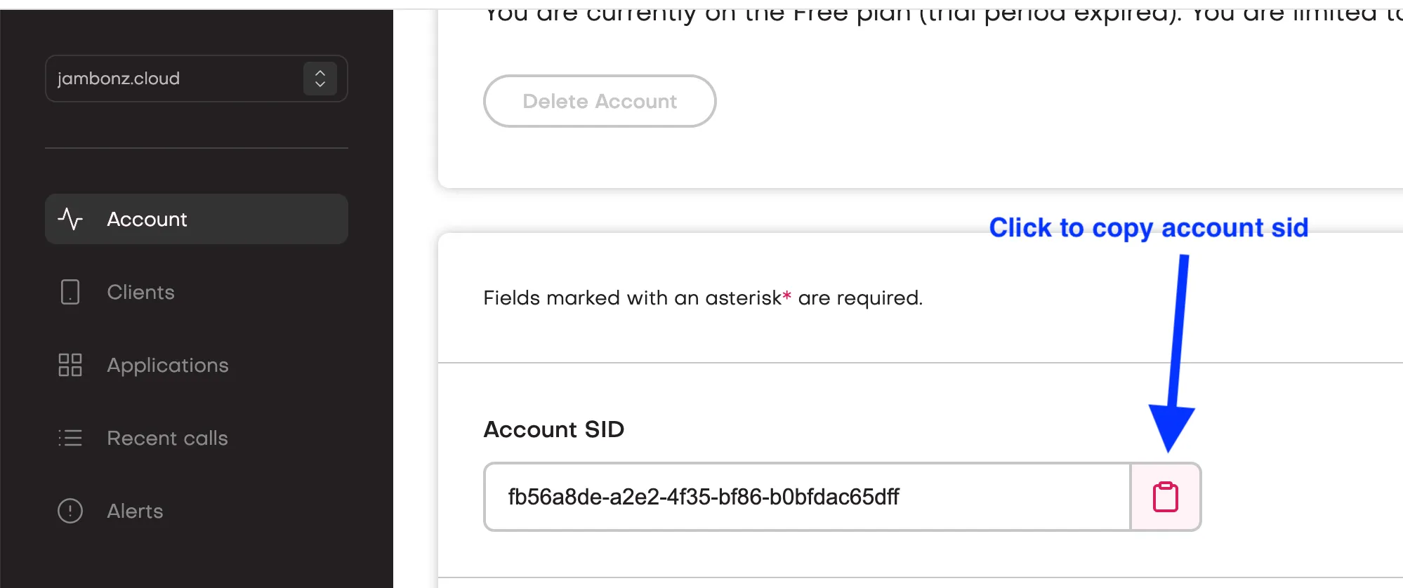 The Account page in the jambonz portal showing the account sid